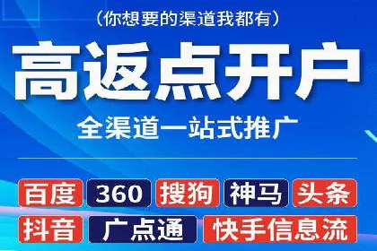 百度推广与SEO结合的营销策略案例分享